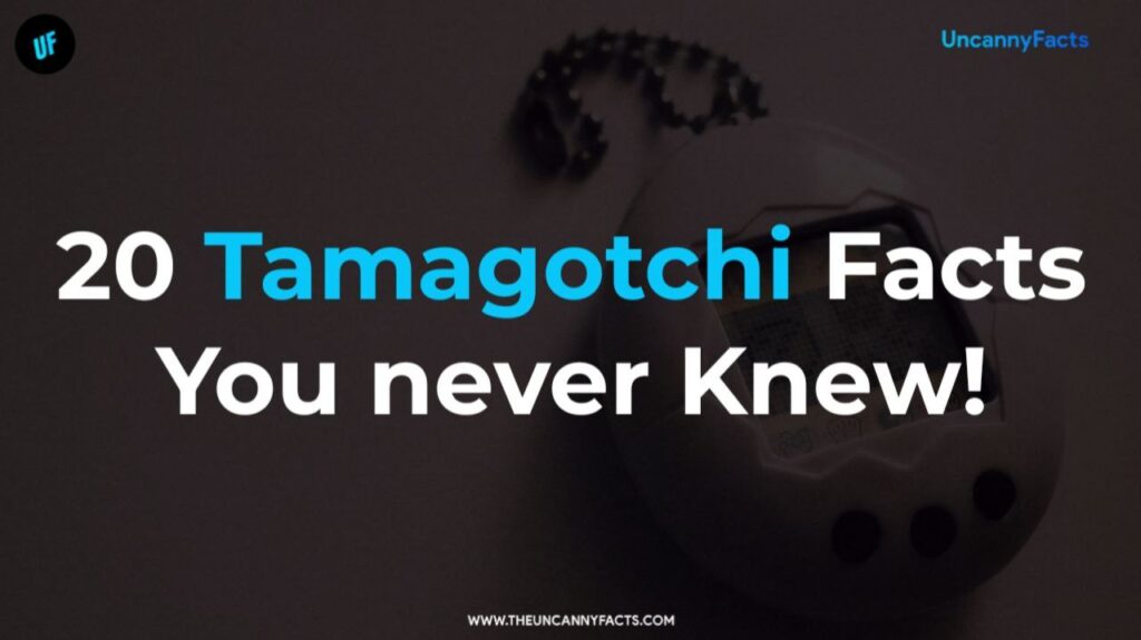 Tamagotchi facts